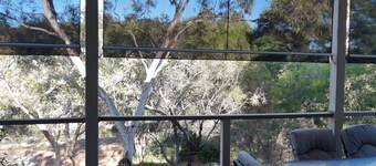 Holiday house nestled among native trees overlooking wetlands