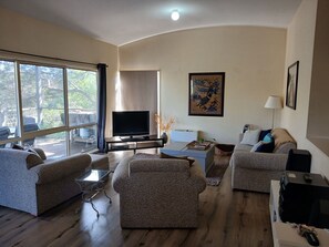 TV, DVD player, music library, video library