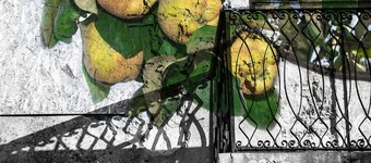 Casa Mespilea Guest House