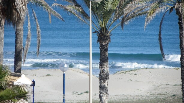 Ein Strand mit Palmen, einer Straßenlaterne und freiem Blick auf den Ozean.