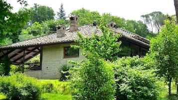 Esterni