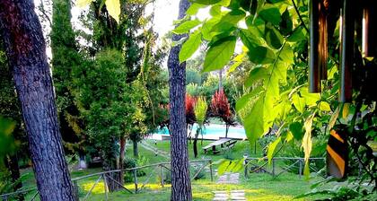 Fantastische Villa mit privatem, beheiztem Swimmingpool, Whirlpool, Sport im 8000 m² Park, Talaussic