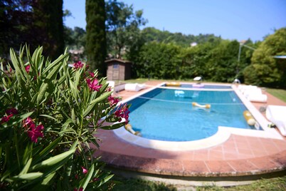 Opulent Villa Private Heated Pool and Park, Volley Ball, Table Tennis, Whirlpool