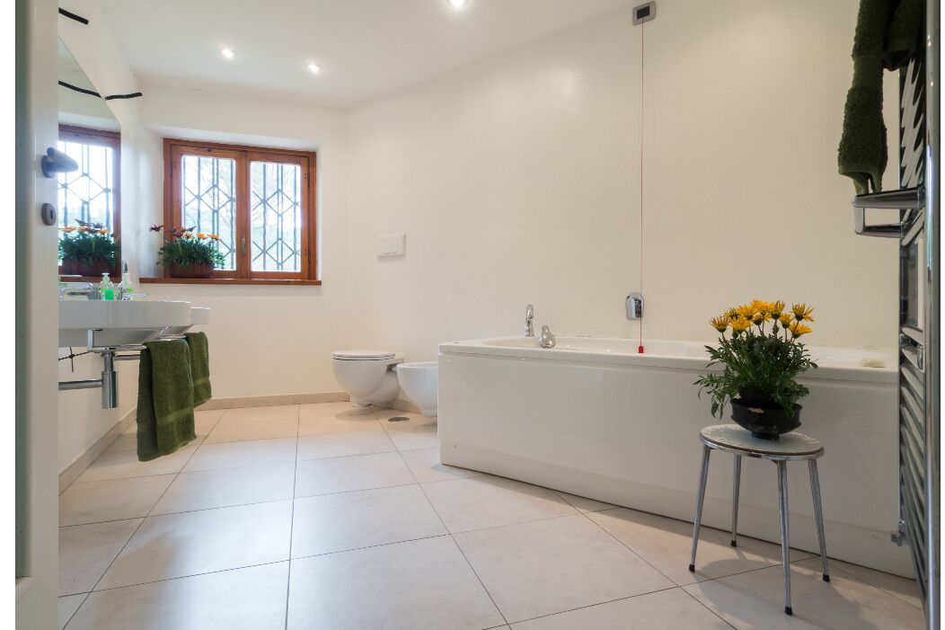 Bathtub, jetted tub, hair dryer, bidet
