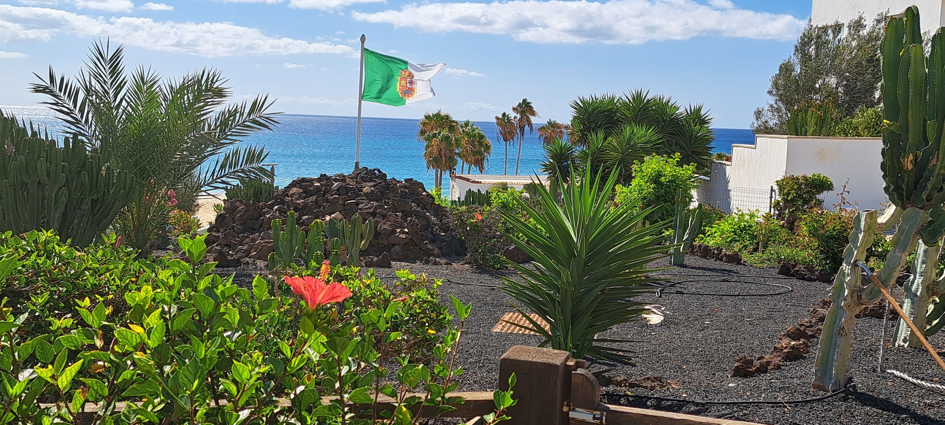A garden with a flag, cacti, and a view of the ocean.