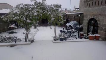 Un patio con suelo cubierto de nieve, un árbol y plantas en macetas.