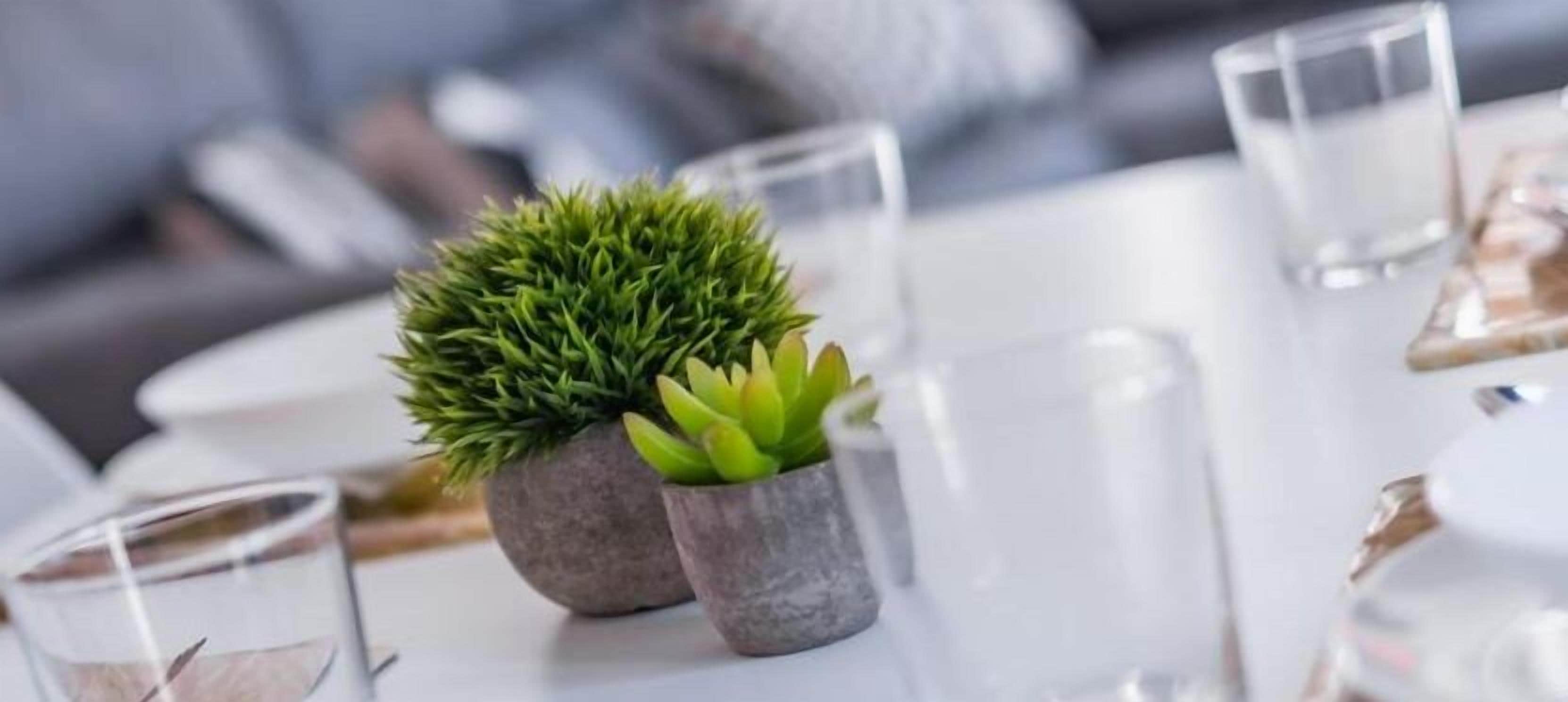 Photo - Mirotza Rooms