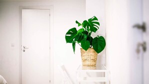 Ảnh chưa phân loại, 4 trong số 26 ảnh, nút