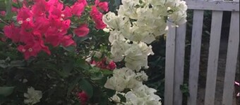 Hillcrest Guest House USVI