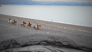 Una spiaggia con un gruppo di persone a cavallo.