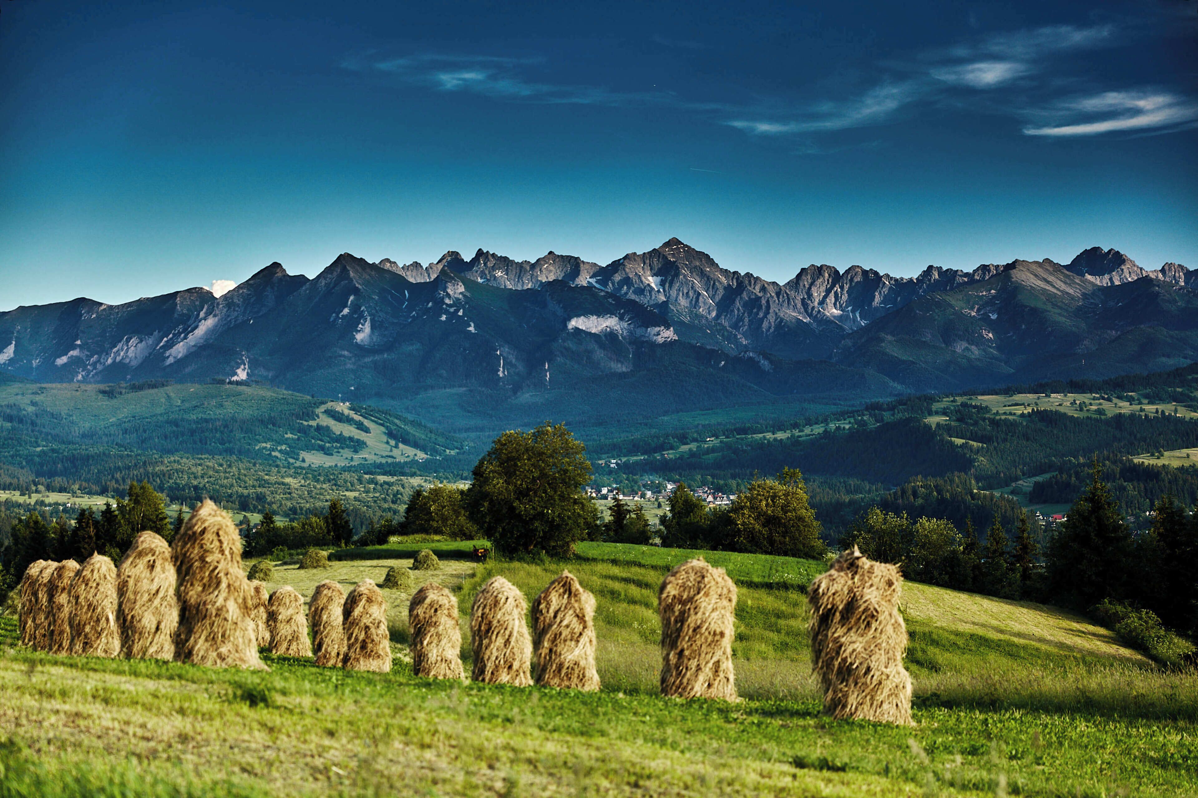 Paisaje montañoso con pacas de heno en un campo.