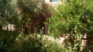 Exterior - Chez Slimani (Skoura)