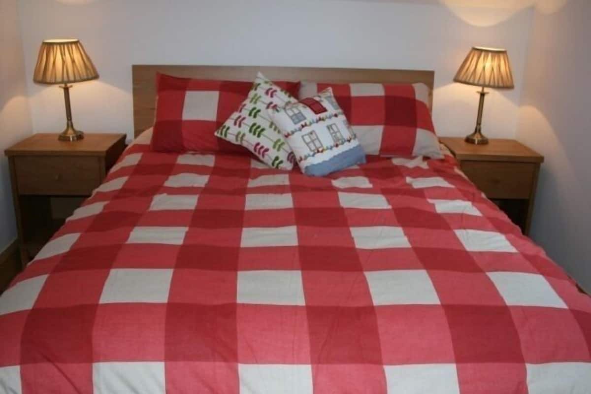 A bed with a red and white checkered bedspread, two bedside lamps, and two pillows with a house pattern.