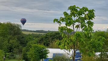 A garden with a hot air balloon in the distance, a tree, and a blue chair.