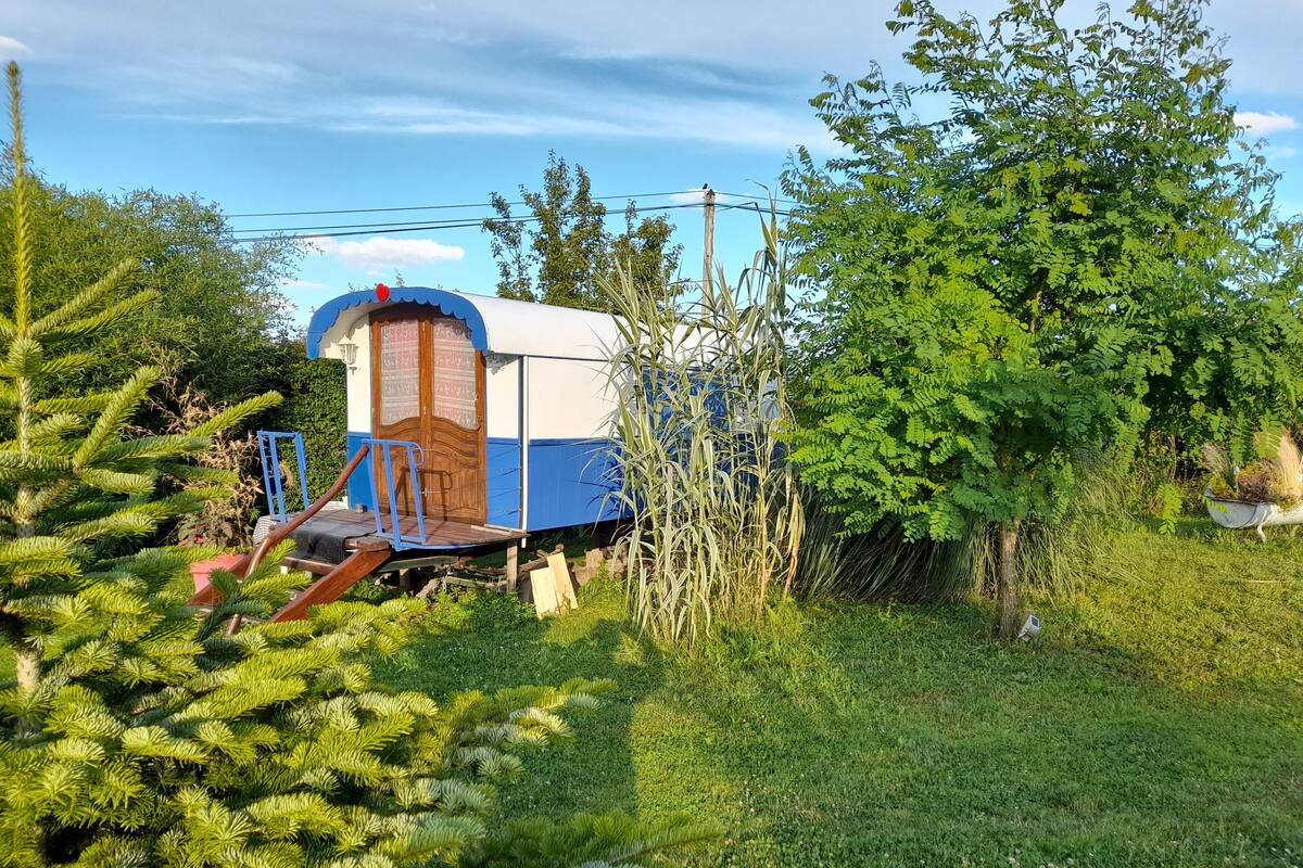 A small, rustic cabin with a blue and white exterior, surrounded by lush greenery and trees.