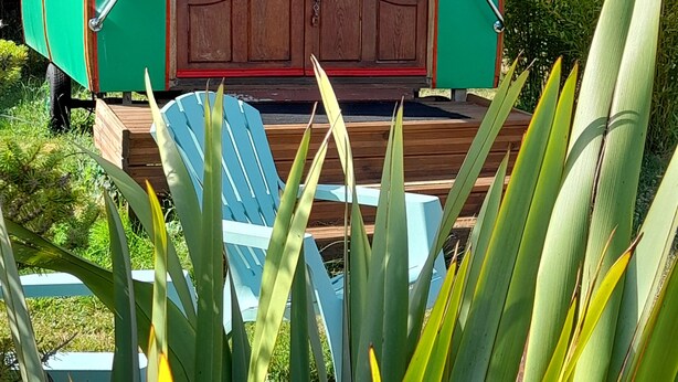 A small, two-room caravan with a wooden door and windows, surrounded by greenery. - Le Clos des Epinettes (Angé)