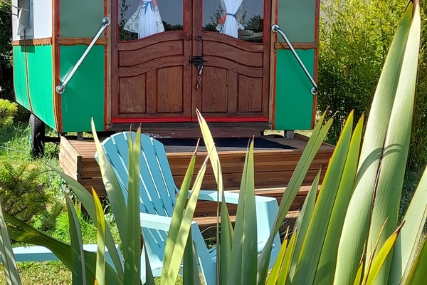 Verduisterende gordijnen, een strijkplank/strijkijzer, gratis wifi