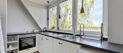 Superior Apartment | Private kitchen | Fridge, oven, stovetop, dishwasher