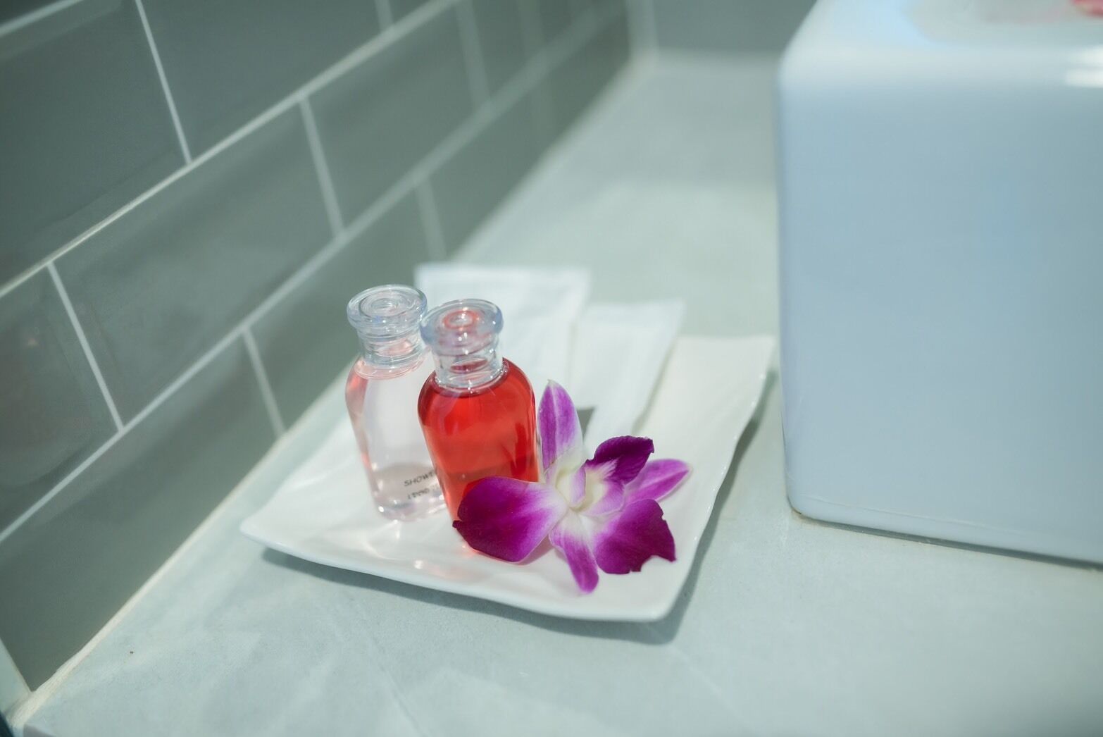 Foto - Coconut Grove Hotel Samui