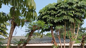 A house with a pink exterior, multiple windows, and a tiled roof. - Ose Cottages (Kisumu)