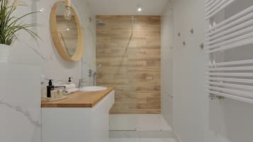 Ducha, cabezal de ducha tipo lluvia, secador de pelo, toallas