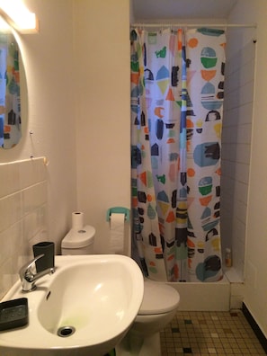 Shower, hair dryer, toilet paper