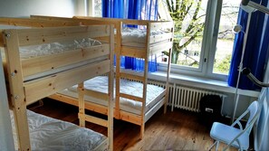 Shared Dormitory (Bed in 4-Bed Dormitory Room)