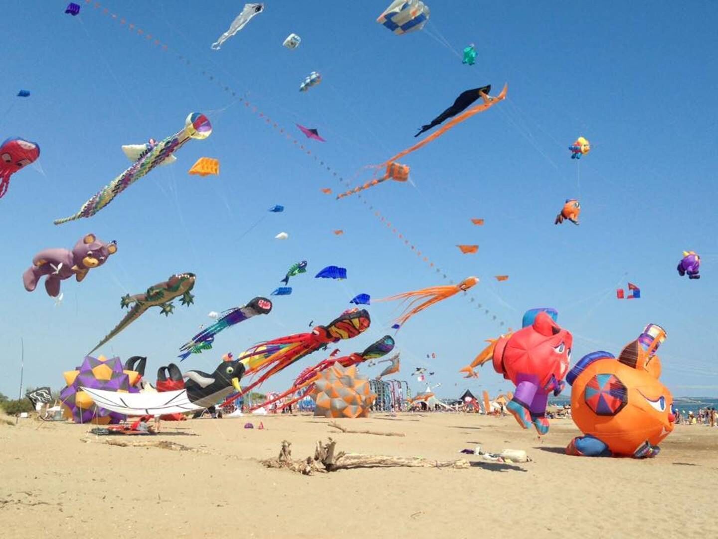 Ein Strand mit vielen bunten Drachen am Himmel.