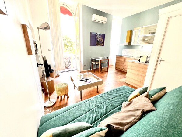 电视、DVD 播放器