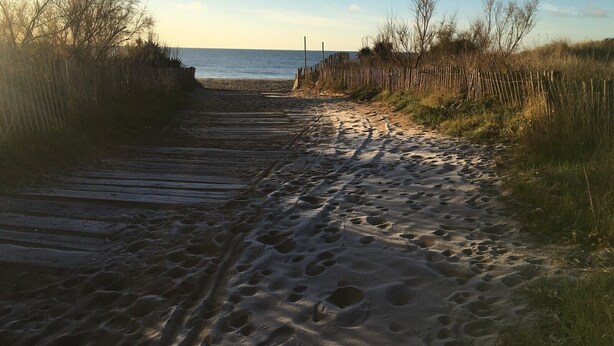A sandy path leading to a beach with a wooden fence on one side and sparse vegetation on the other. - Nice villa in residence CLOS DE SOCORRO with pool, 2 bedrooms, great View, PORTIRAGNES PLAGE (PORTIRAGNES)