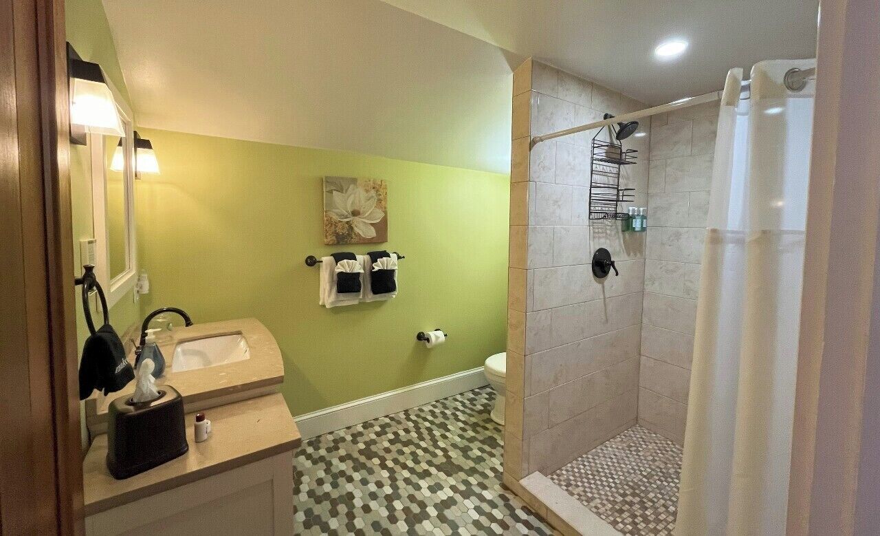 Une salle de bain avec un lavabo, des toilettes et une douche.
