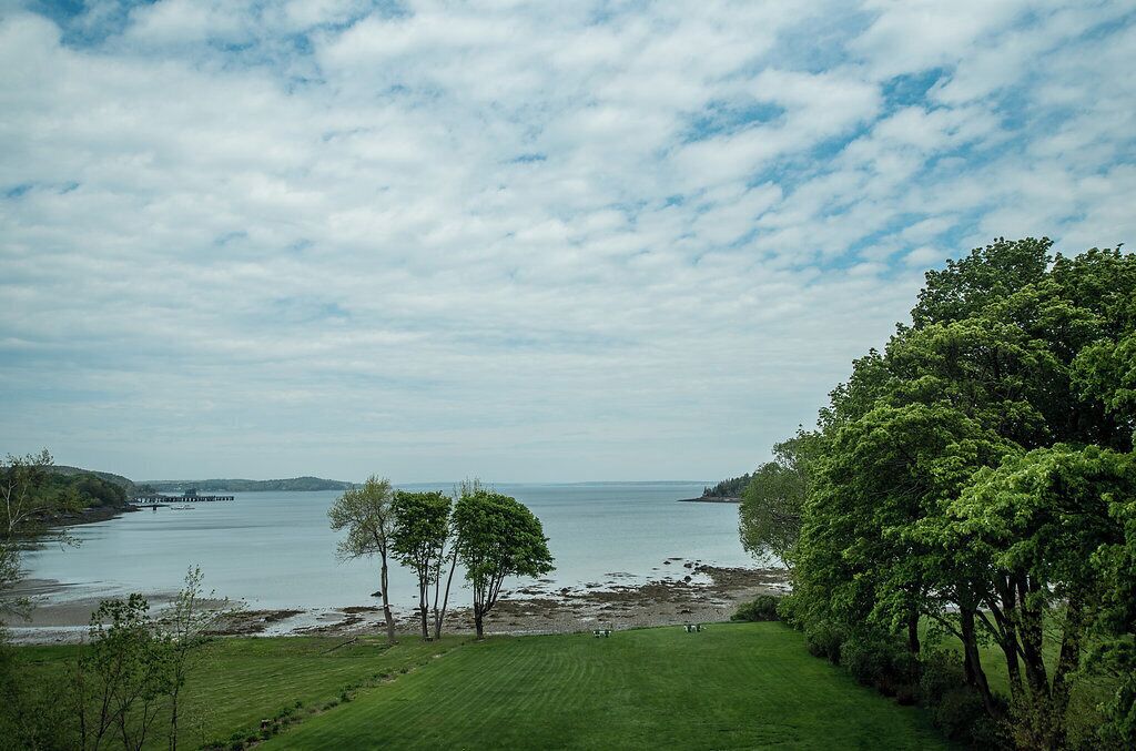 A coastal landscape with a grassy area, trees, and a body of water.