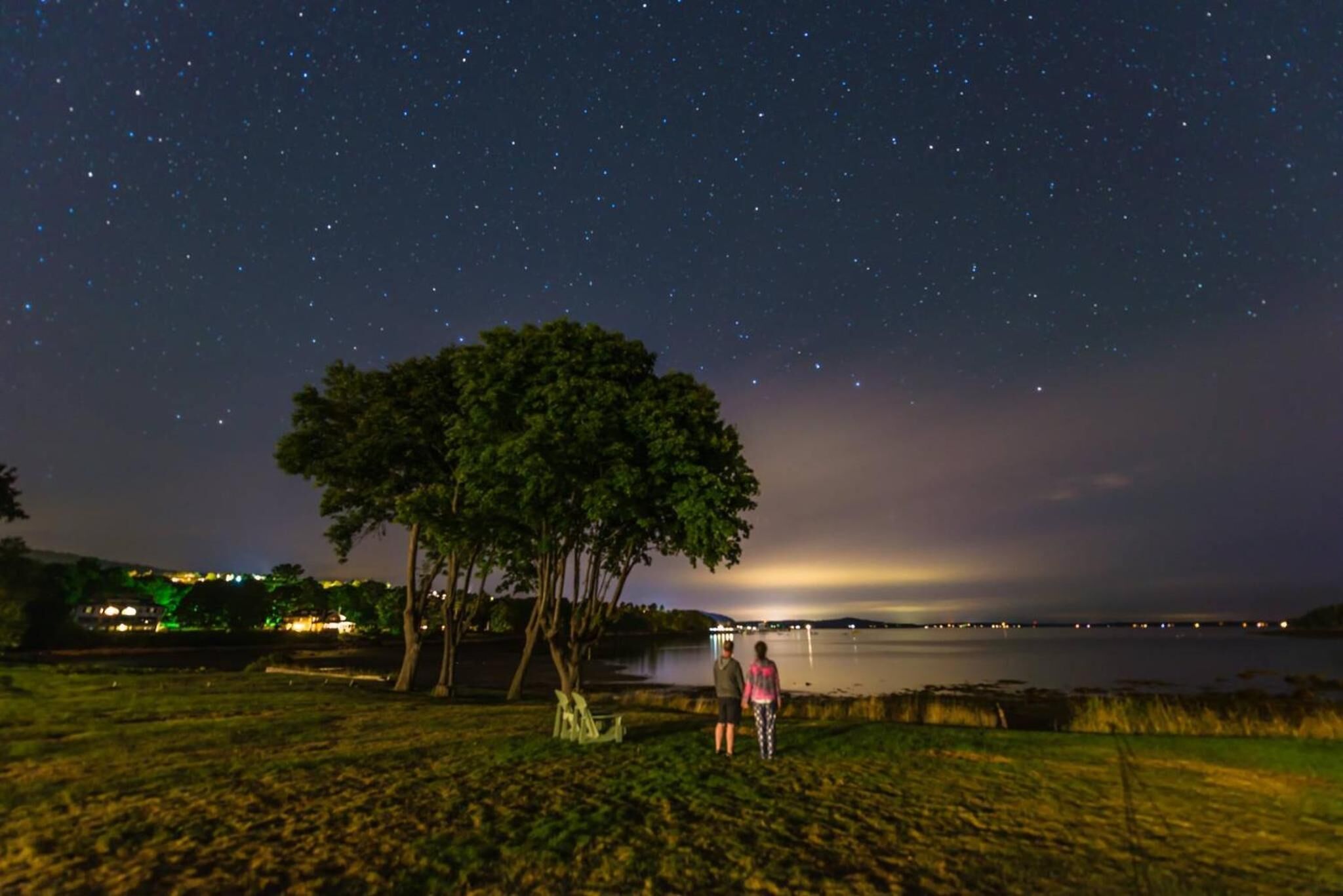 A night scene with two people standing under a tree by a lake, with a starry sky above.