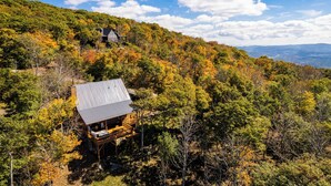 Une cabane dotée d’un toit en métal et d’une terrasse en bois, entourée d’une forêt dense aux couleurs automnales.
