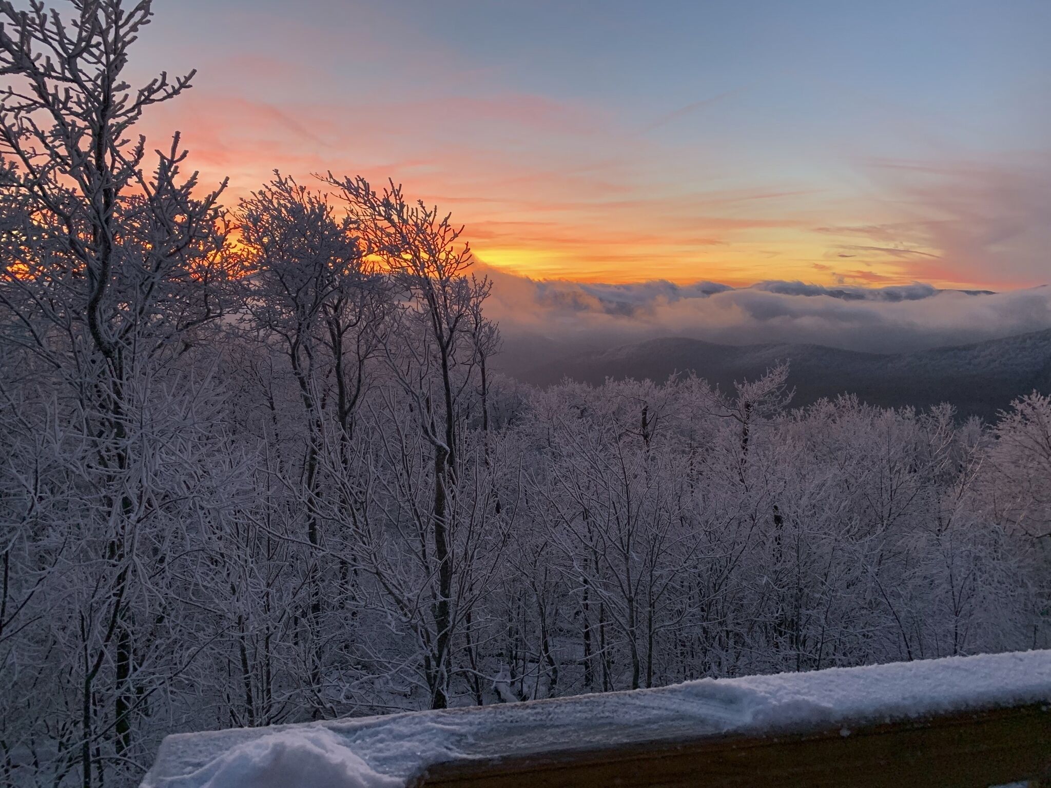 Paesaggio innevato con alberi e un tramonto.