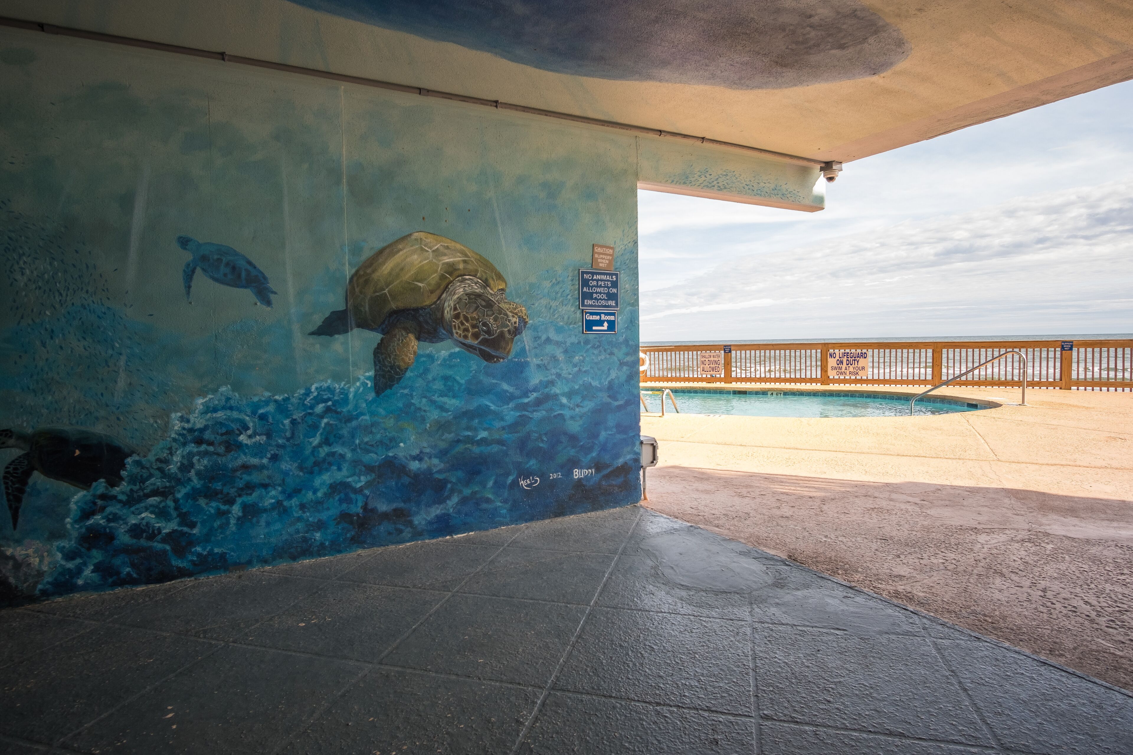 Une fresque représentant des tortues de mer sur un mur, une piscine et une allée en béton.