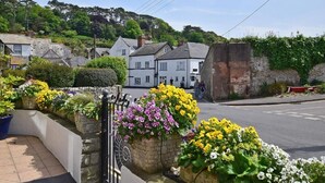 A residential street with houses, a stone wall, and flower boxes along the sidewalk. - Belmont House Beer - Adults Only (Seaton)
