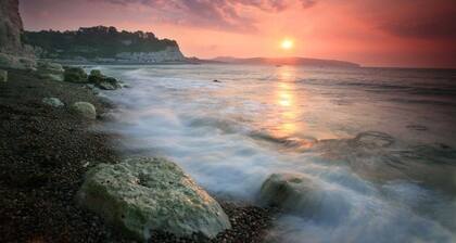 Belmont House Beer - Adults Only