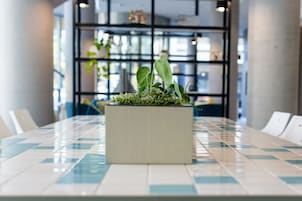 Et moderne interiør med et flisebelagt bord og en potteplante i midten.