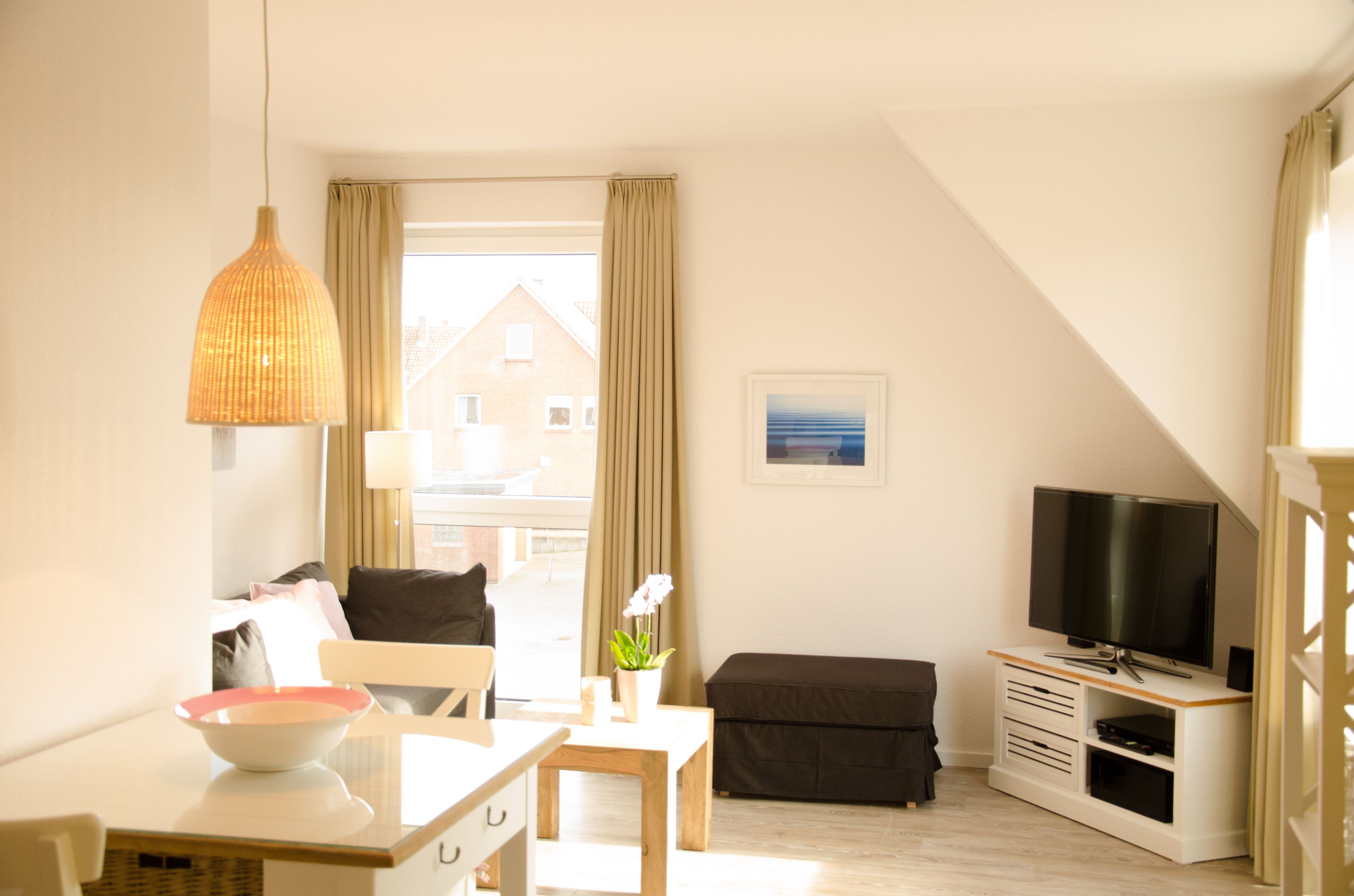 平板电视、DVD 播放器