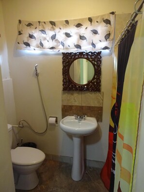 Shower, towels, soap, toilet paper