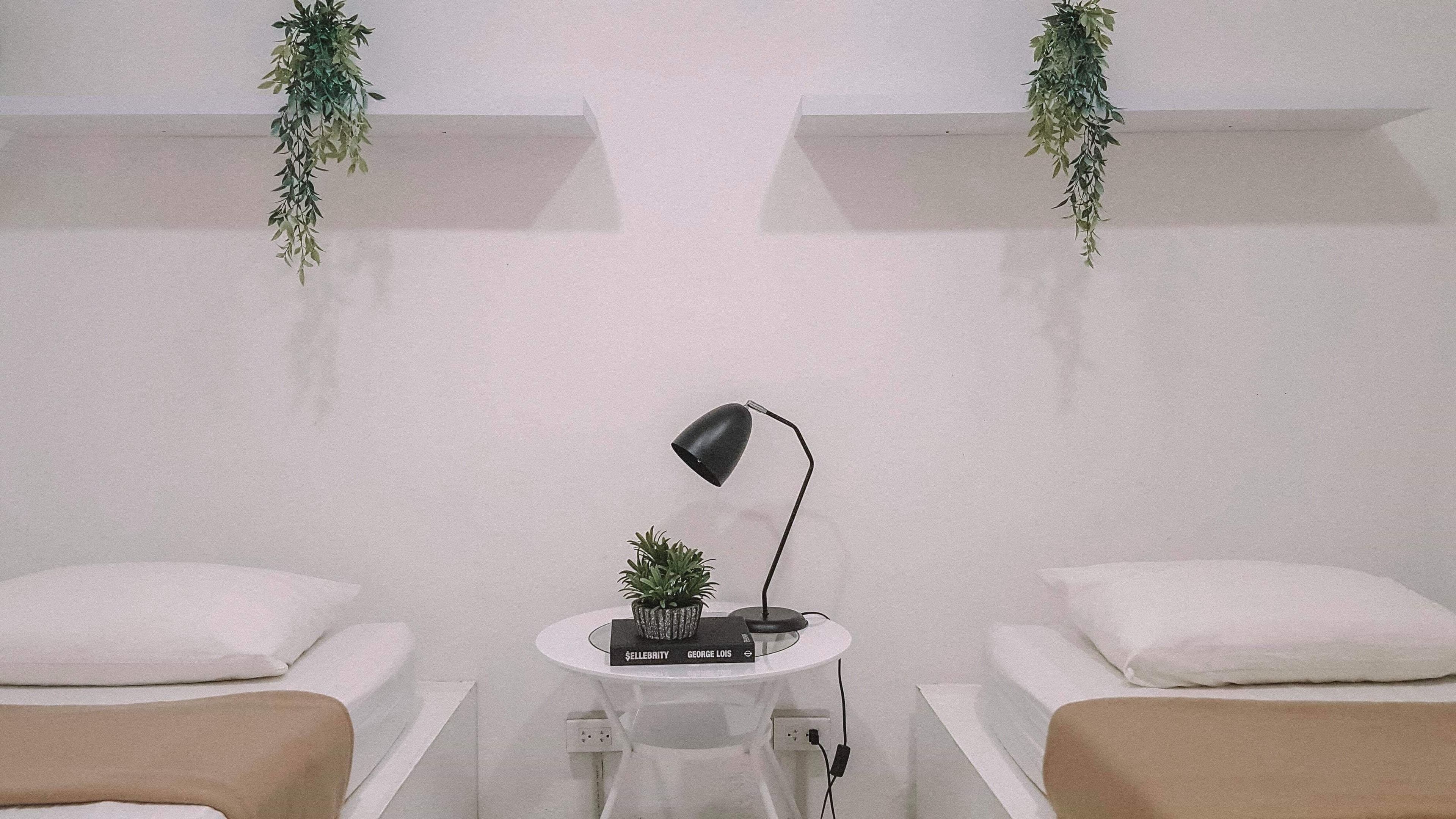 Foto - Murals Hostel and Cafe