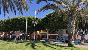 Een zonnig buitengebied met een gazon, palmbomen en een straat met geparkeerde auto's en gebouwen.