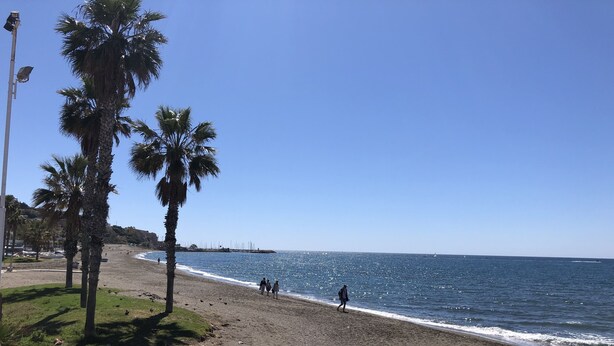 Een strand met palmbomen, een heldere lucht en enkele mensen die wandelen.