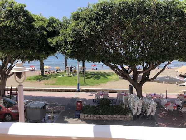 A beachside restaurant with outdoor seating, a view of the beach, and a large tree providing shade.