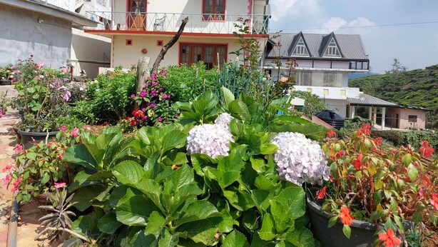 Uma casa de dois andares com varanda, rodeada por vegetação exuberante e plantas floridas.