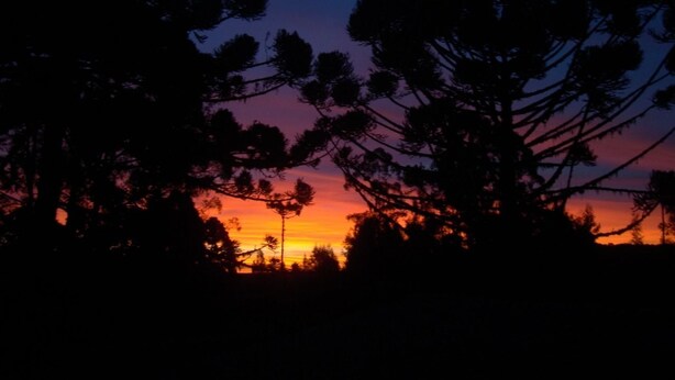 A silhouette of trees against a sunset sky. - Pousada Bolicho Guabiroba (Cambara do Sul)