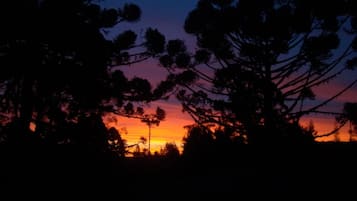 Jardim