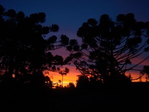 Silhouetten von Bäumen vor einem Sonnenuntergangshimmel.