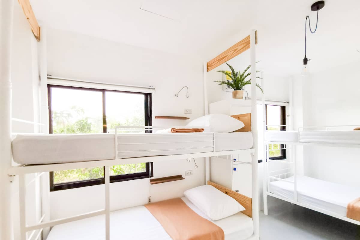Une chambre avec un lit superposé, une fenêtre, une plante et une étagère.